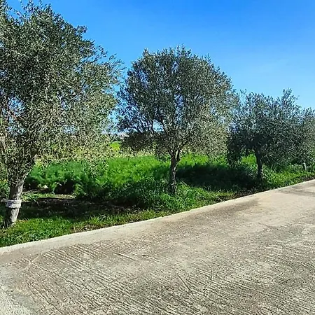 Degli Ulivi, Siracusa, Private Pool, 400 Mt From The Holiday home Syracuse